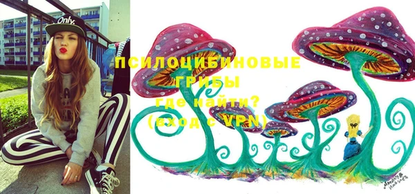 индика Алексеевка