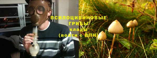 герыч Алексин