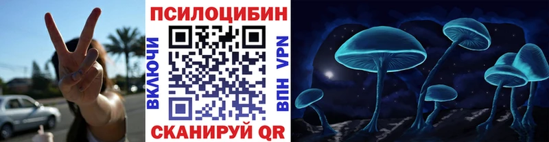 Галлюциногенные грибы Magic Shrooms  купить наркотики цена  Канаш 